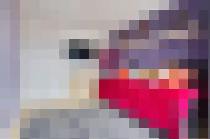 Oliemolen 64 Hoorn thumbnail 34