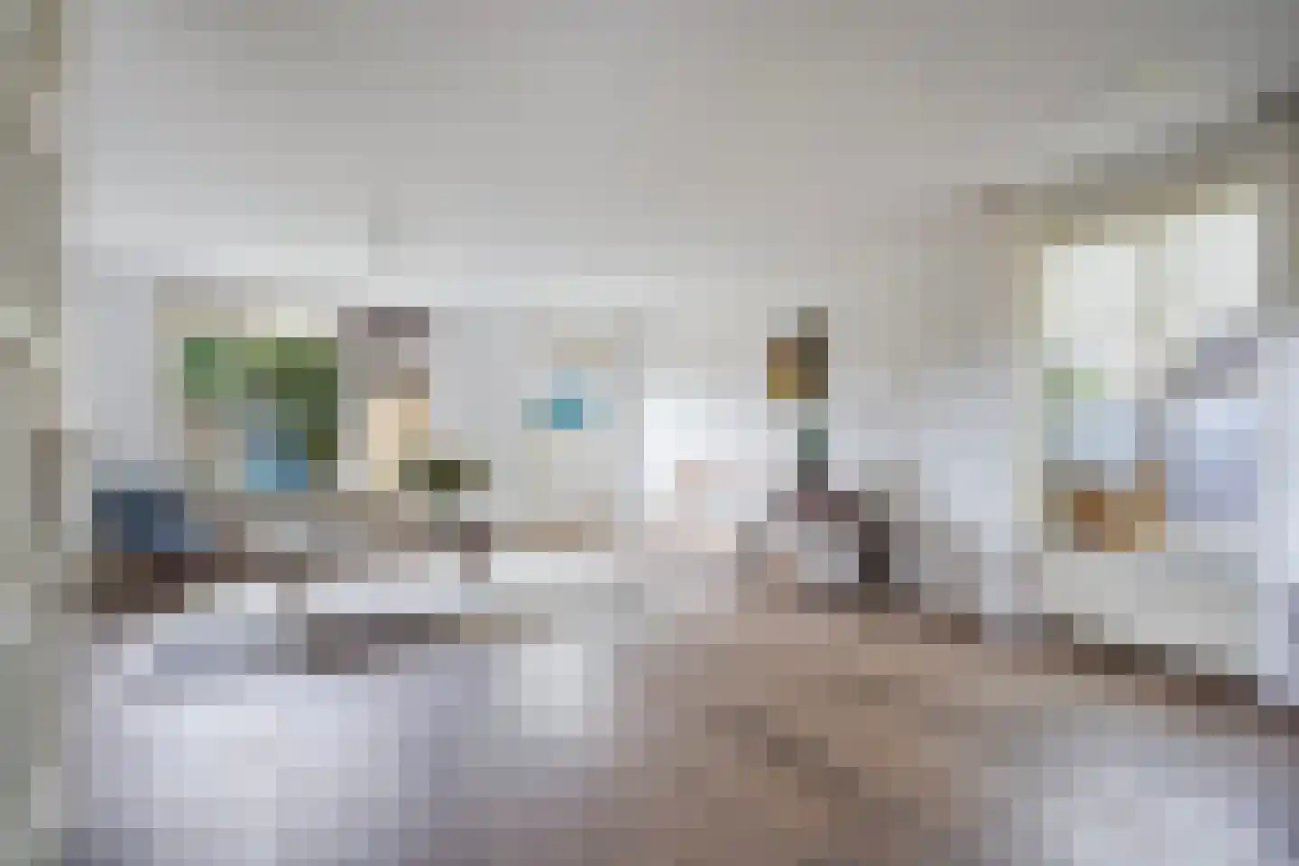 Oliemolen 7 Alphen aan den Rijn thumbnail 12
