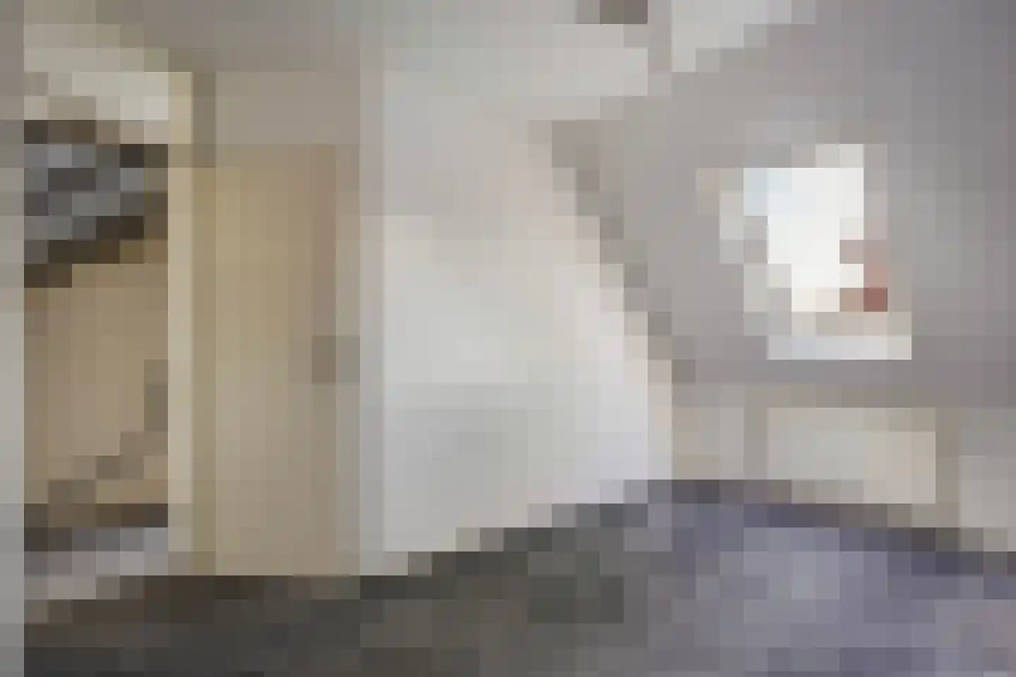 Oliemolen 7 Alphen aan den Rijn thumbnail 20