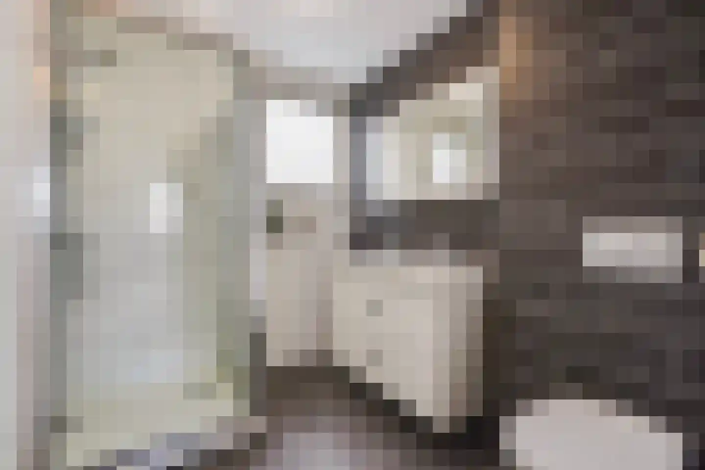 Oliemolen 7 Alphen aan den Rijn thumbnail 27