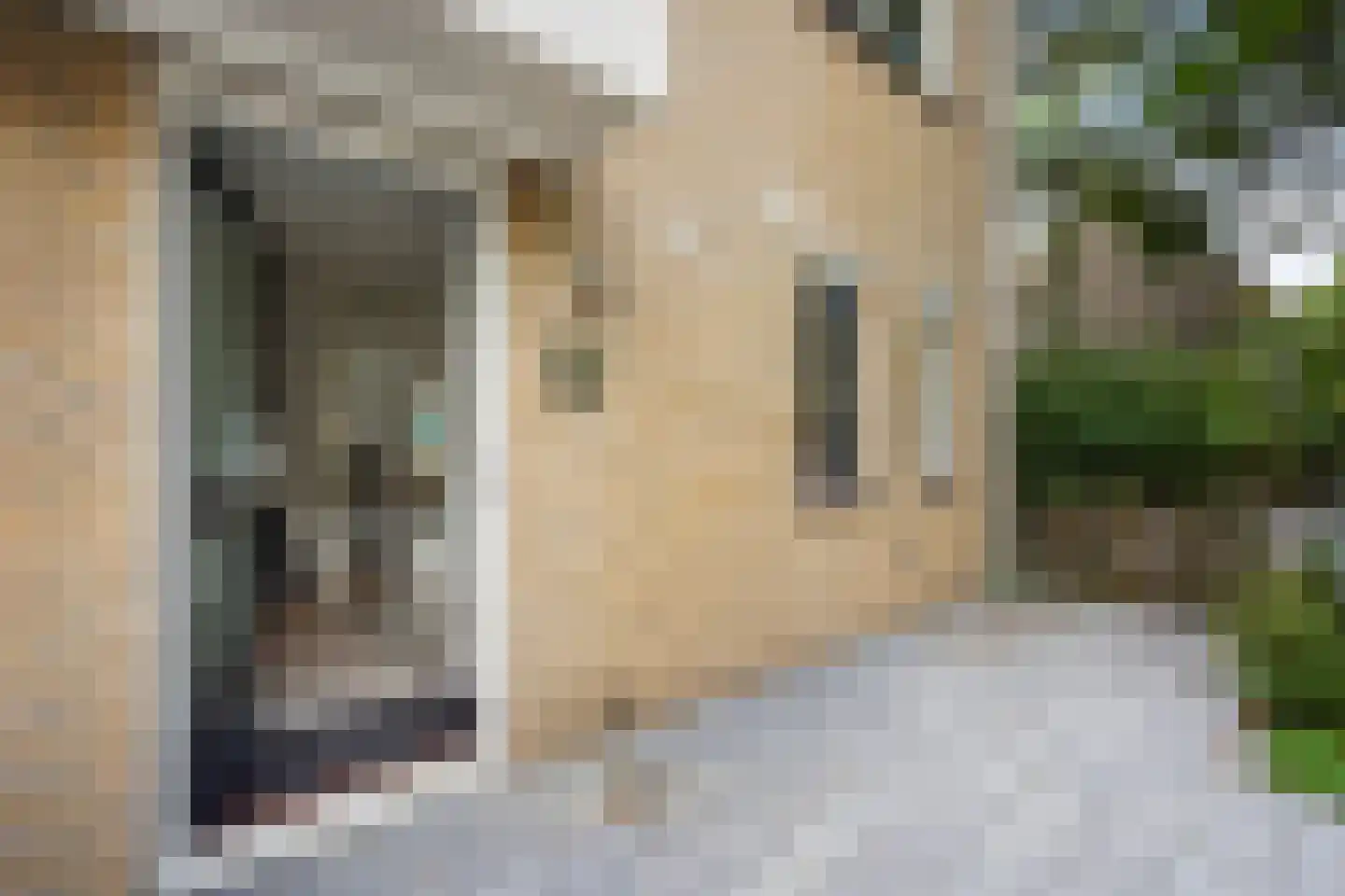 Oliemolen 7 Alphen aan den Rijn foto 3