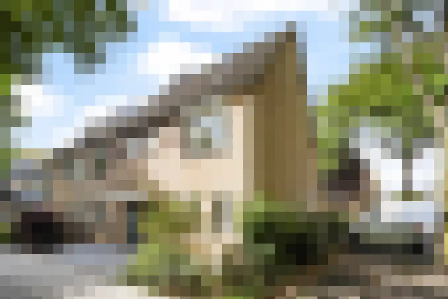 Oliemolen 7 Alphen aan den Rijn thumbnail 44