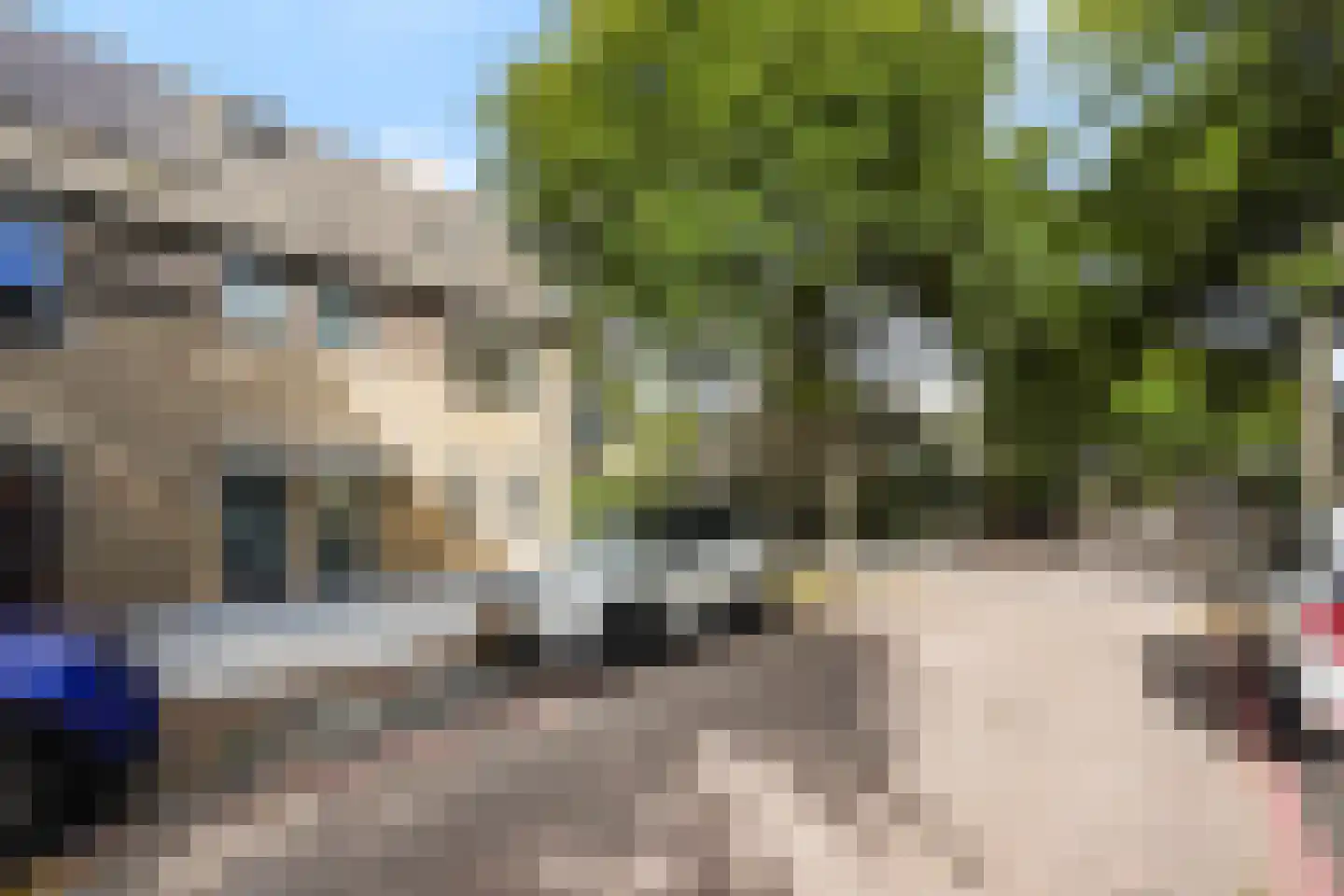 Oliemolen 7 Alphen aan den Rijn thumbnail 47