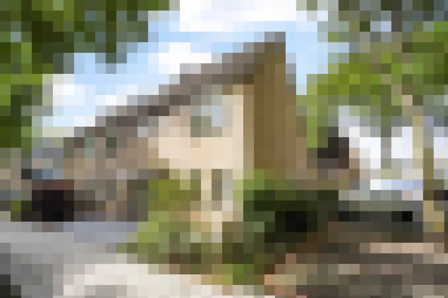 Oliemolen 7 Alphen aan den Rijn thumbnail 48