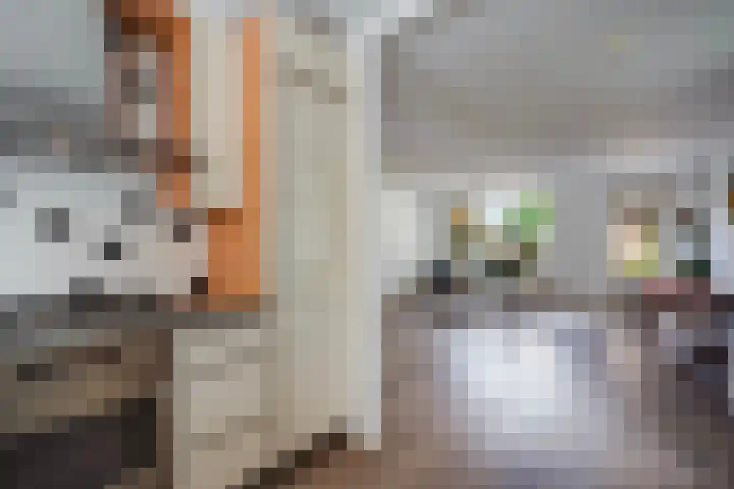 Oliemolen 7 Alphen aan den Rijn thumbnail 5