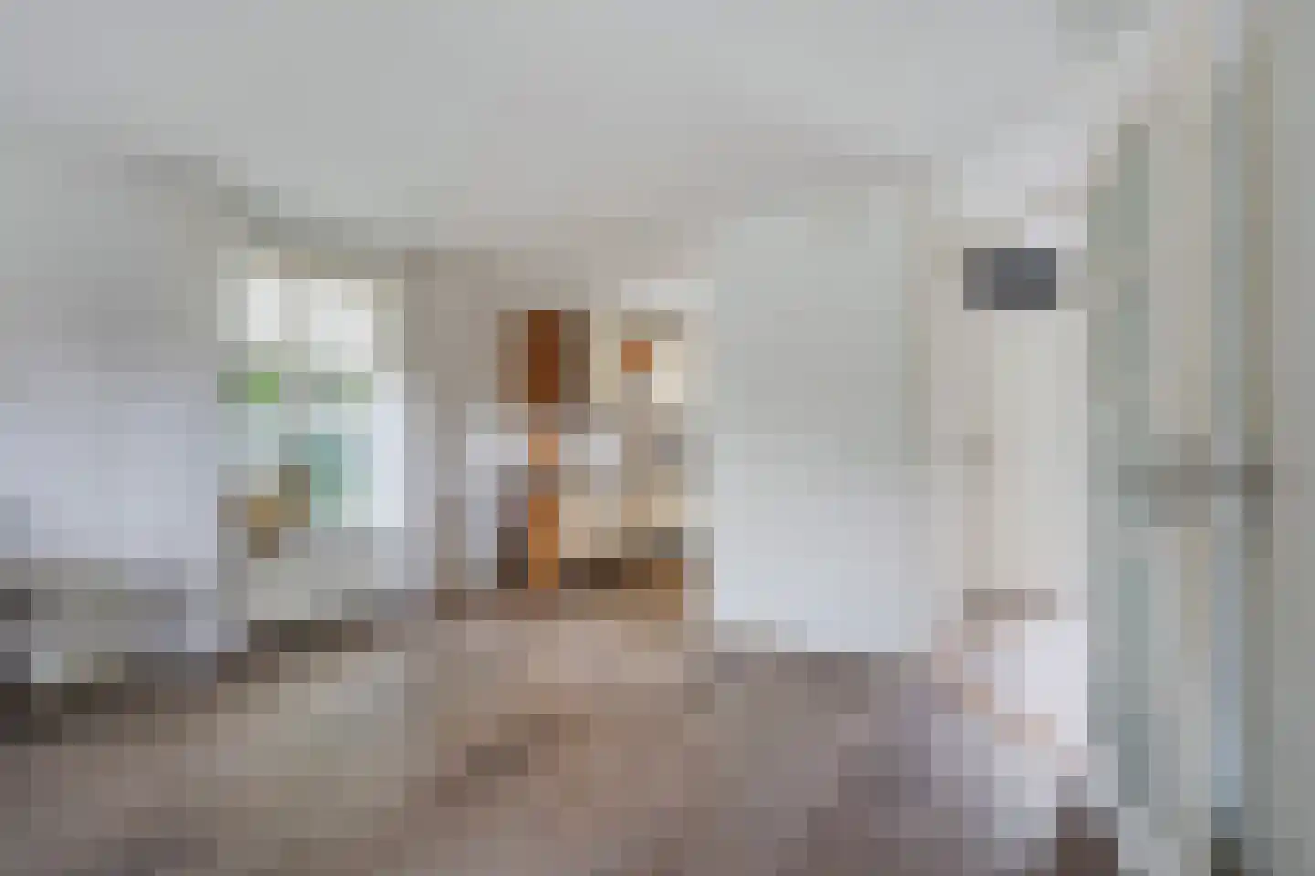 Oliemolen 7 Alphen aan den Rijn thumbnail 7