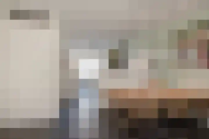 Oliemolen 7 Delft thumbnail 11