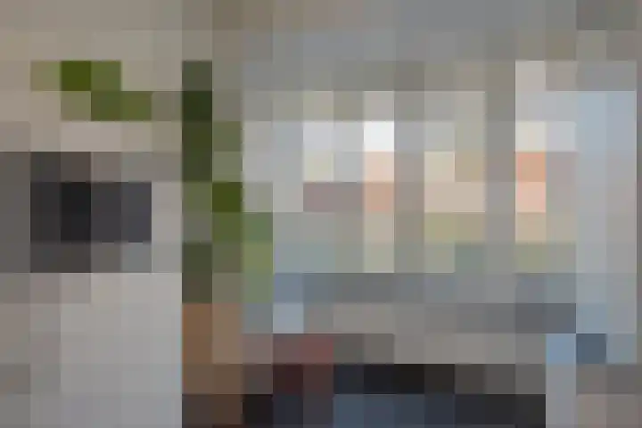 Oliemolen 7 Delft thumbnail 14