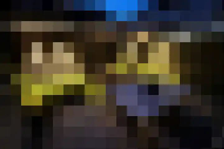Oliemolen 7 Delft thumbnail 18