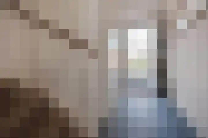 Oliemolen 7 Delft thumbnail 19