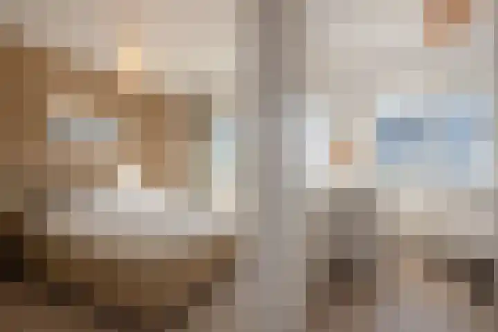 Oliemolen 7 Delft thumbnail 22