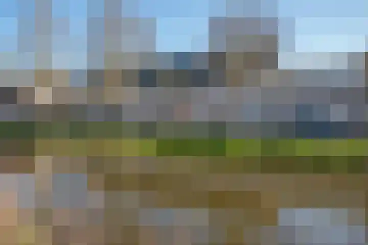 Oliemolen 7 Delft thumbnail 40