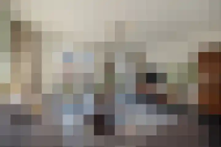 Oliemolen 7 Delft thumbnail 8