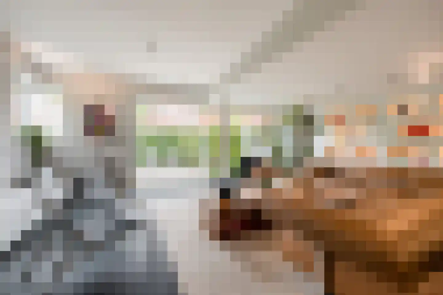 Oliemolenplaats 1 Haarlem thumbnail 10