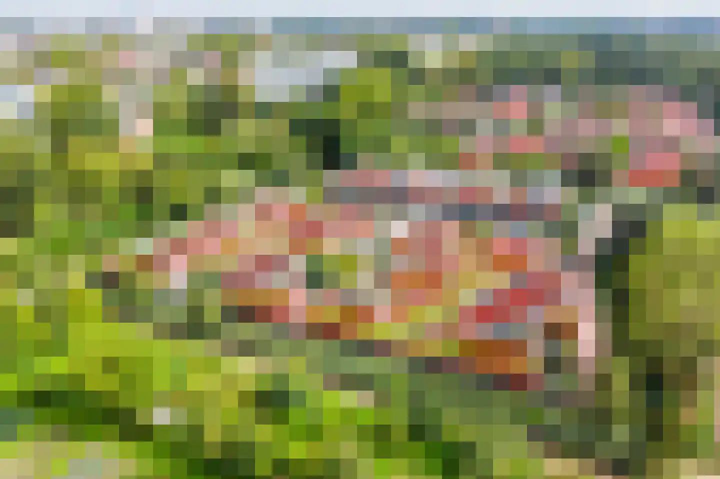 Oliemolenplaats 1 Haarlem thumbnail 44