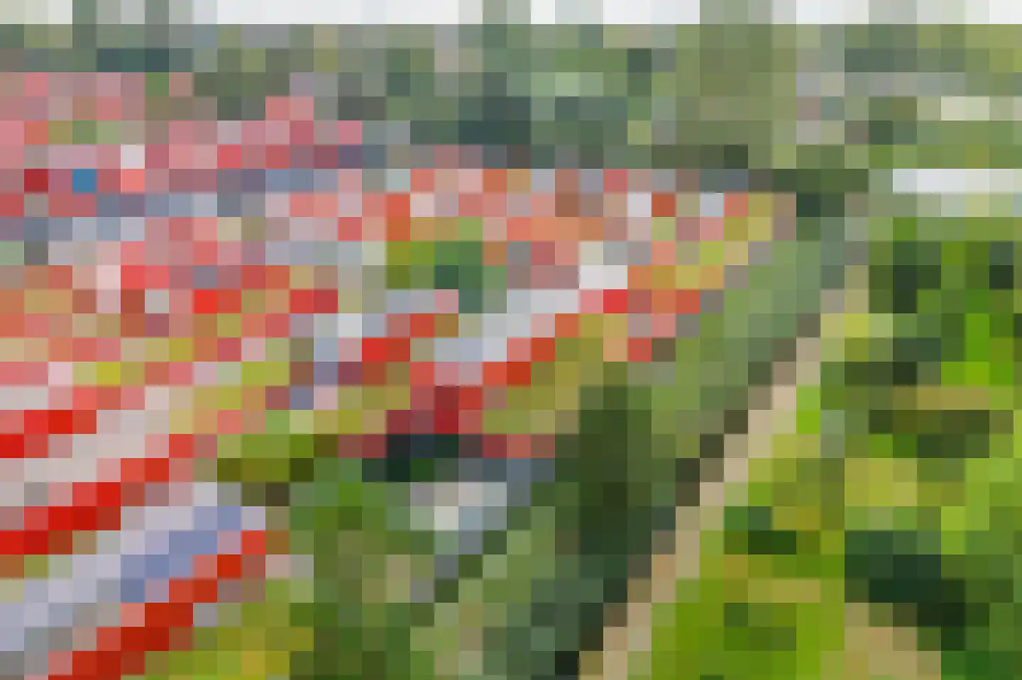 Oliemolenplaats 1 Haarlem thumbnail 47