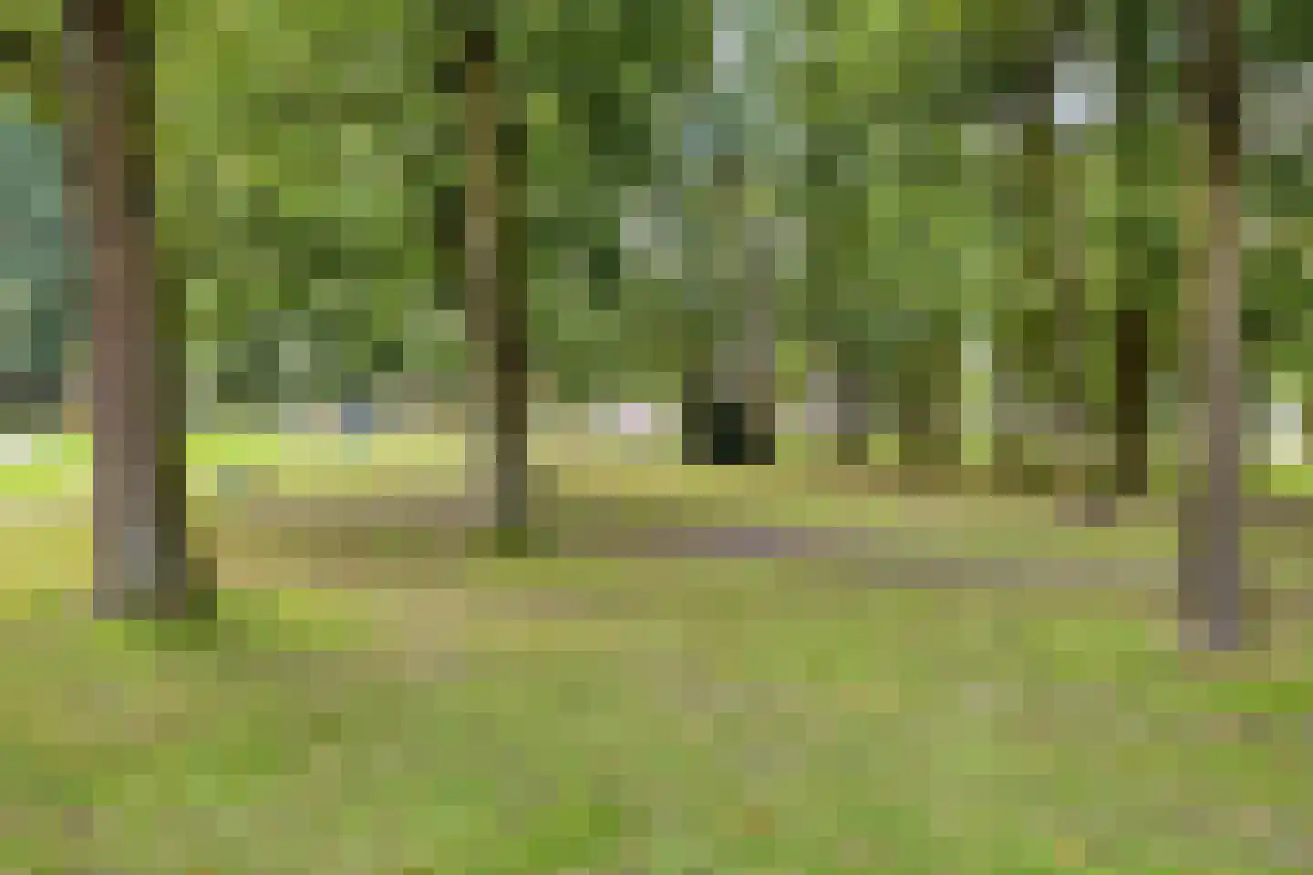 Oliemolensingel 216 Enschede thumbnail 27