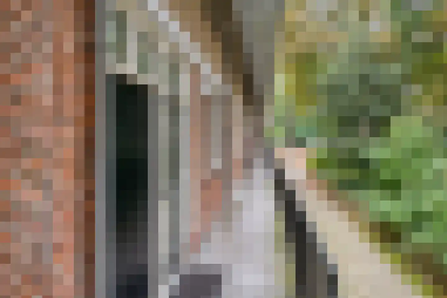 Oliemolensingel 216 Enschede thumbnail 7