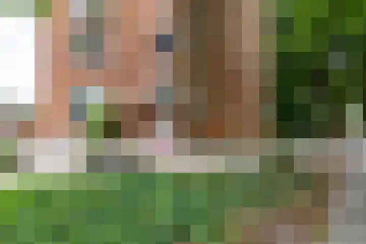 Oliemolensingel 250 Enschede thumbnail 11