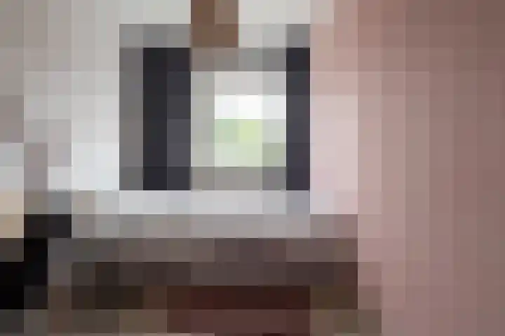 Oliemolensingel 250 Enschede thumbnail 31