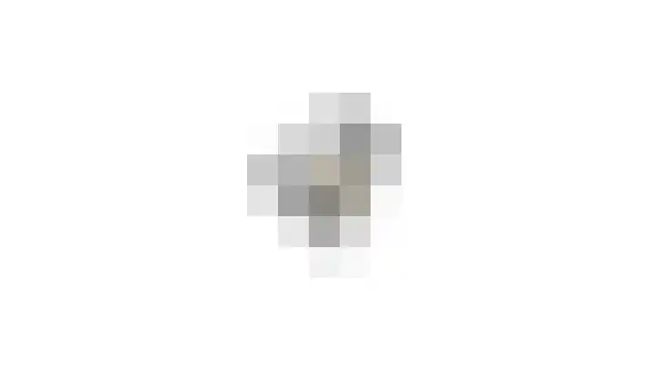 Oliemolensingel 250 Enschede thumbnail 40