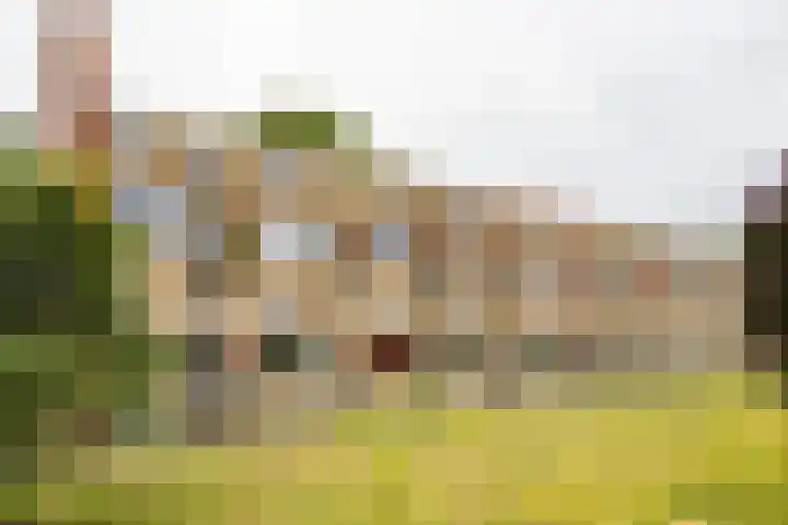 Oliemolensingel 250 Enschede thumbnail 49