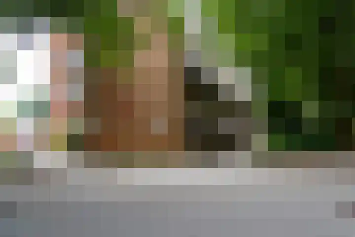 Oliemolensingel 250 Enschede thumbnail 5