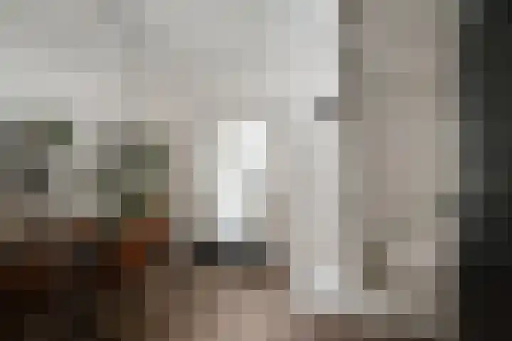Oliemolensteeg 9 Doesburg thumbnail 11