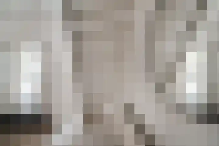 Oliemolensteeg 9 Doesburg thumbnail 12