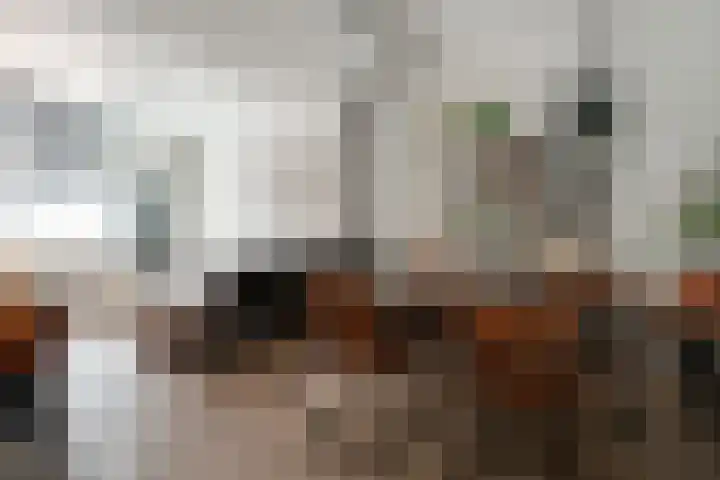 Oliemolensteeg 9 Doesburg thumbnail 13