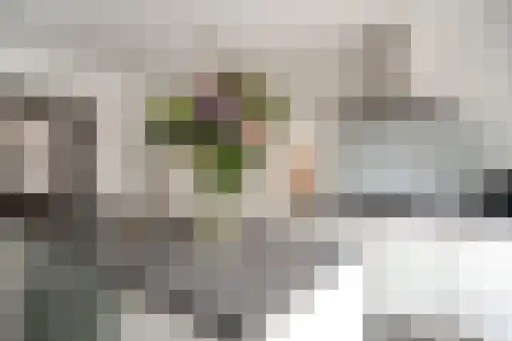 Oliemolensteeg 9 Doesburg thumbnail 23