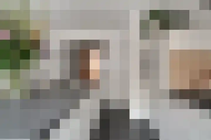 Oliemolensteeg 9 Doesburg thumbnail 24