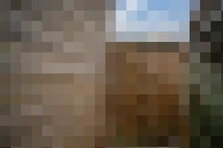 Oliemolensteeg 9 Doesburg thumbnail 35