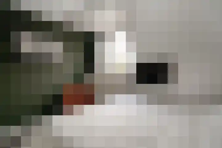 Oliemolensteeg 9 Doesburg thumbnail 39