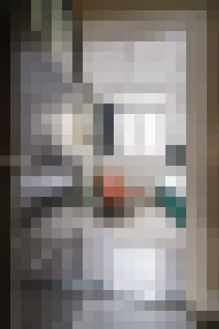 Oliemolensteeg 9 Doesburg thumbnail 41