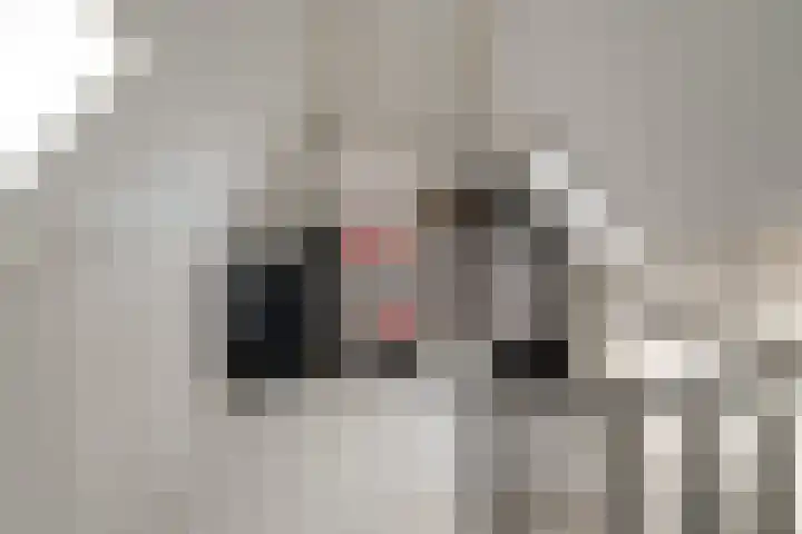 Oliemolensteeg 9 Doesburg thumbnail 47
