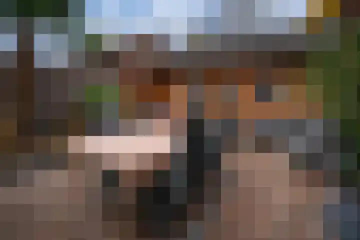 Oliemolensteeg 9 Doesburg thumbnail 5