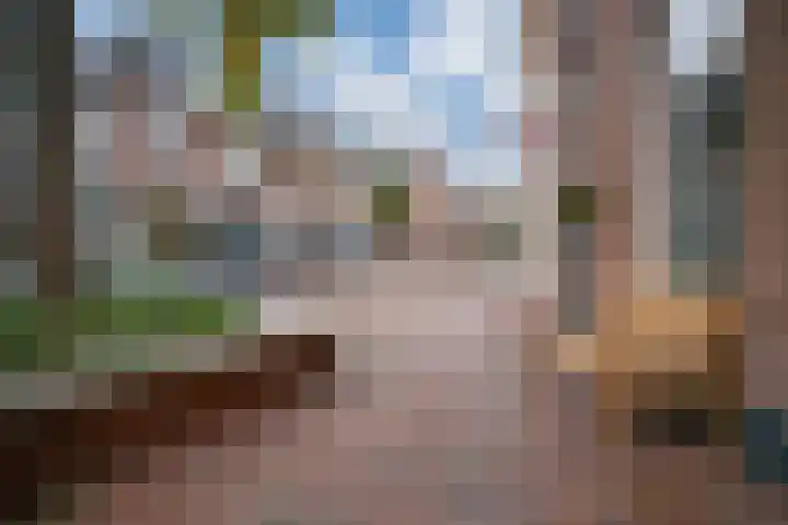 Oliemolensteeg 9 Doesburg thumbnail 53