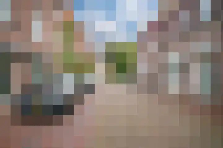 Oliemolensteeg 9 Doesburg thumbnail 54