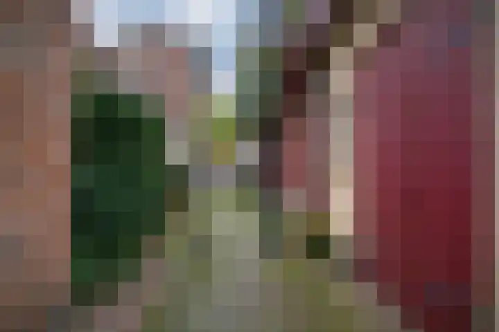 Oliemolensteeg 9 Doesburg thumbnail 6