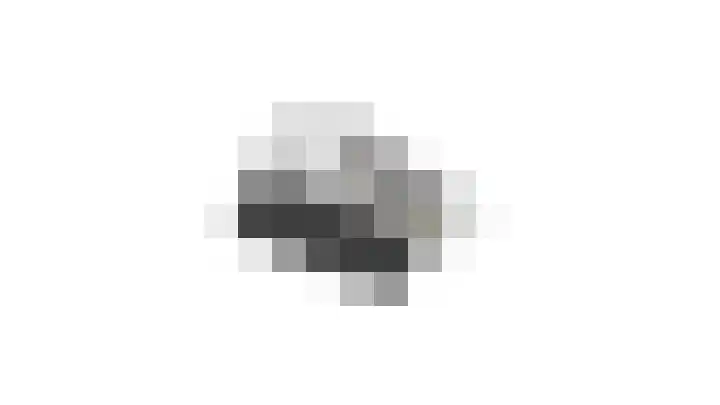 Oliemolensteeg 9 Doesburg thumbnail 60