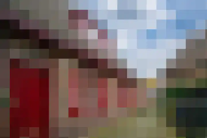 Oliemolensteeg 9 Doesburg thumbnail 7