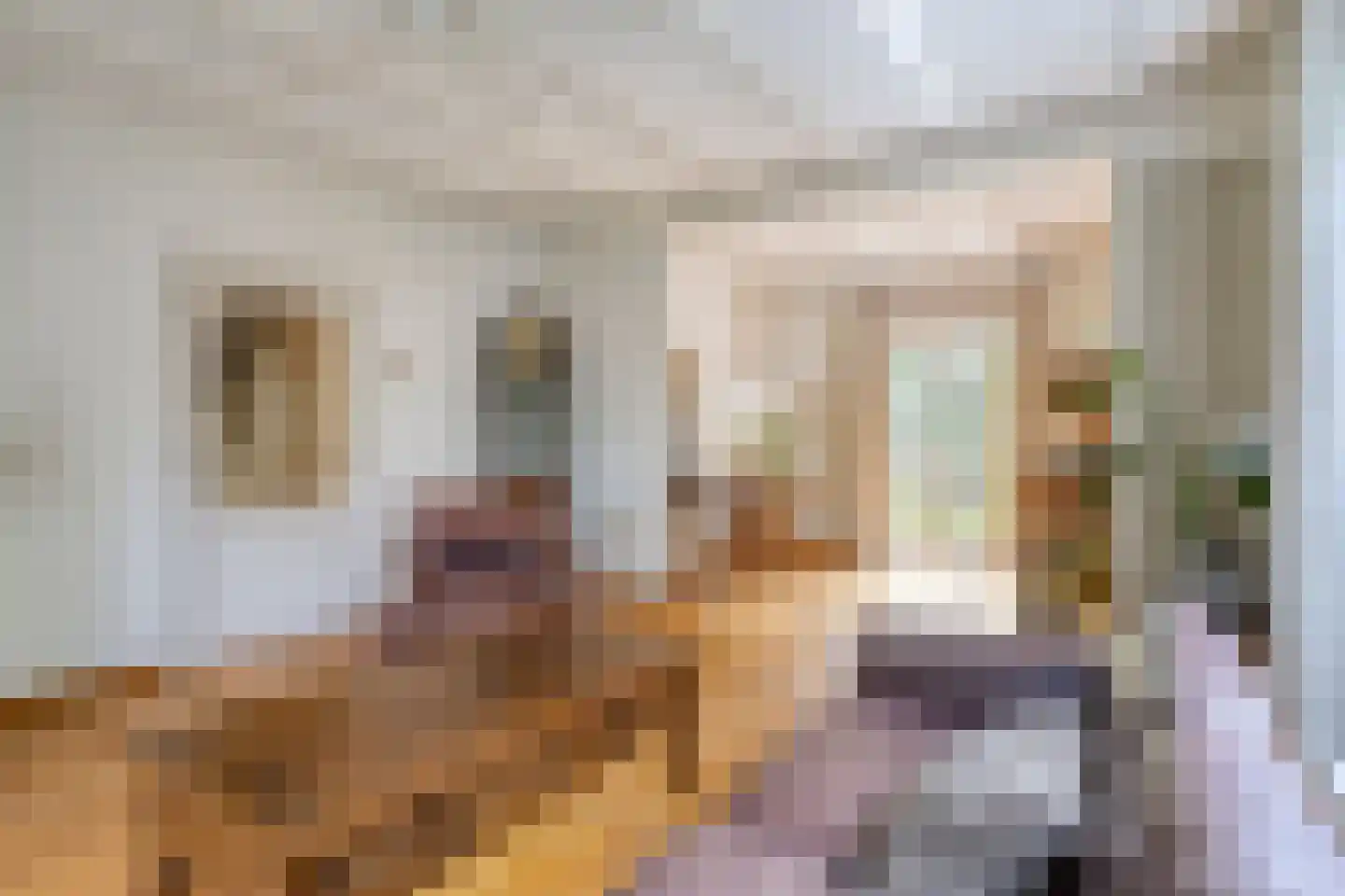 Oliemolenstraat 1 Uden thumbnail 10