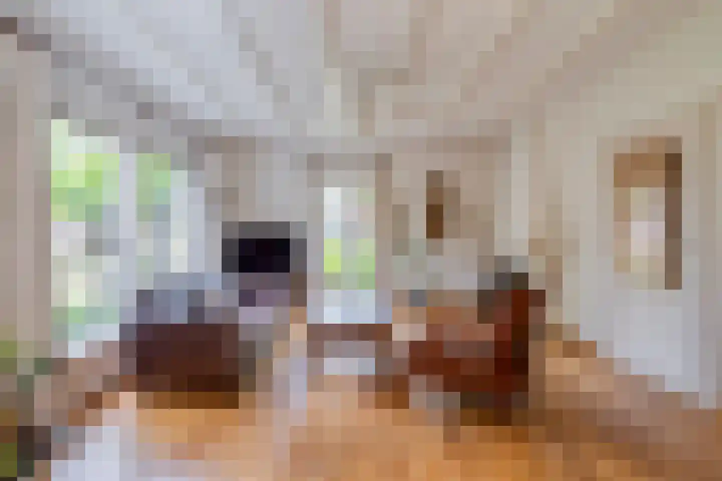Oliemolenstraat 1 Uden thumbnail 13