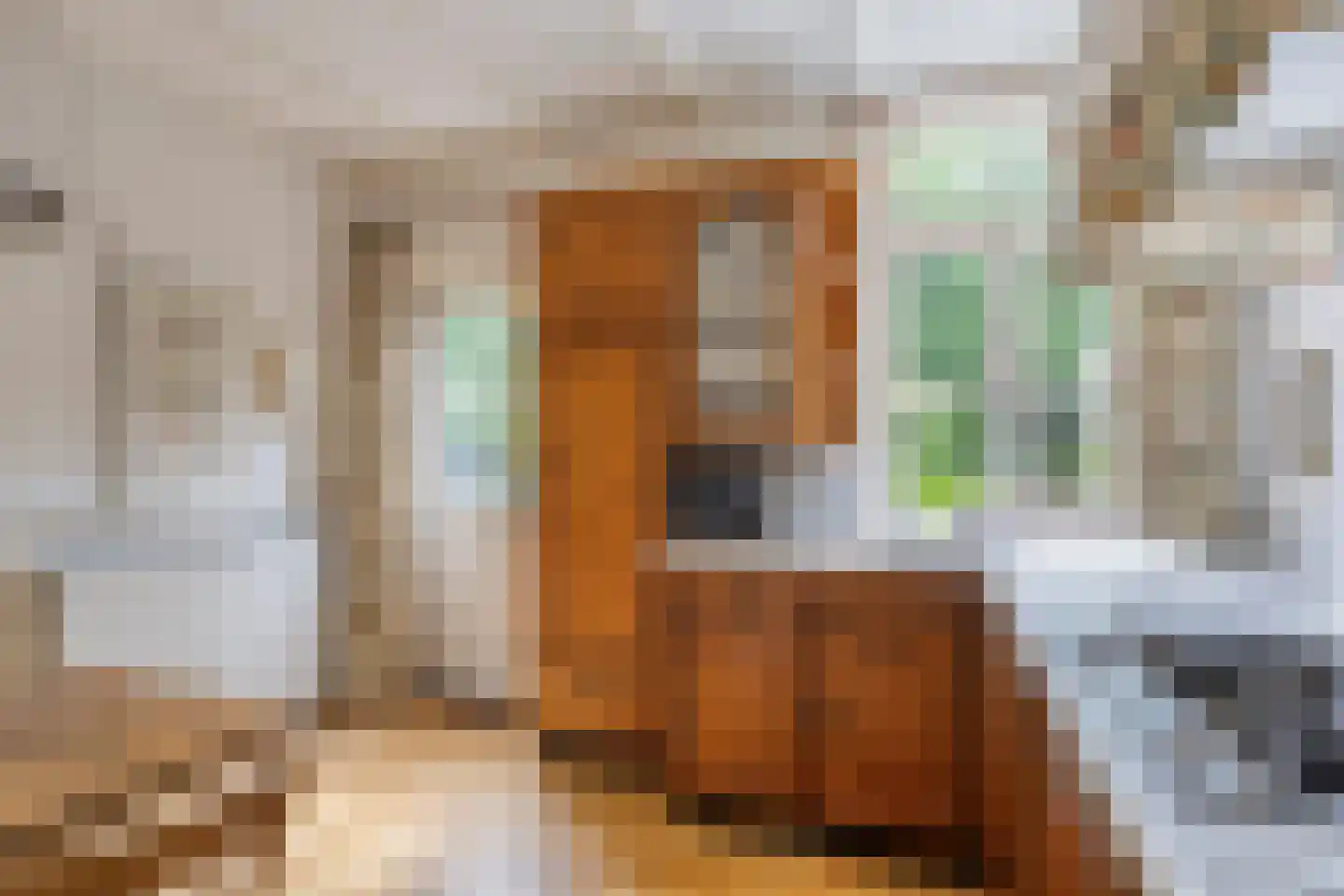 Oliemolenstraat 1 Uden thumbnail 15