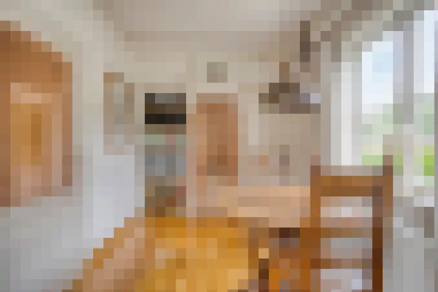 Oliemolenstraat 1 Uden thumbnail 19