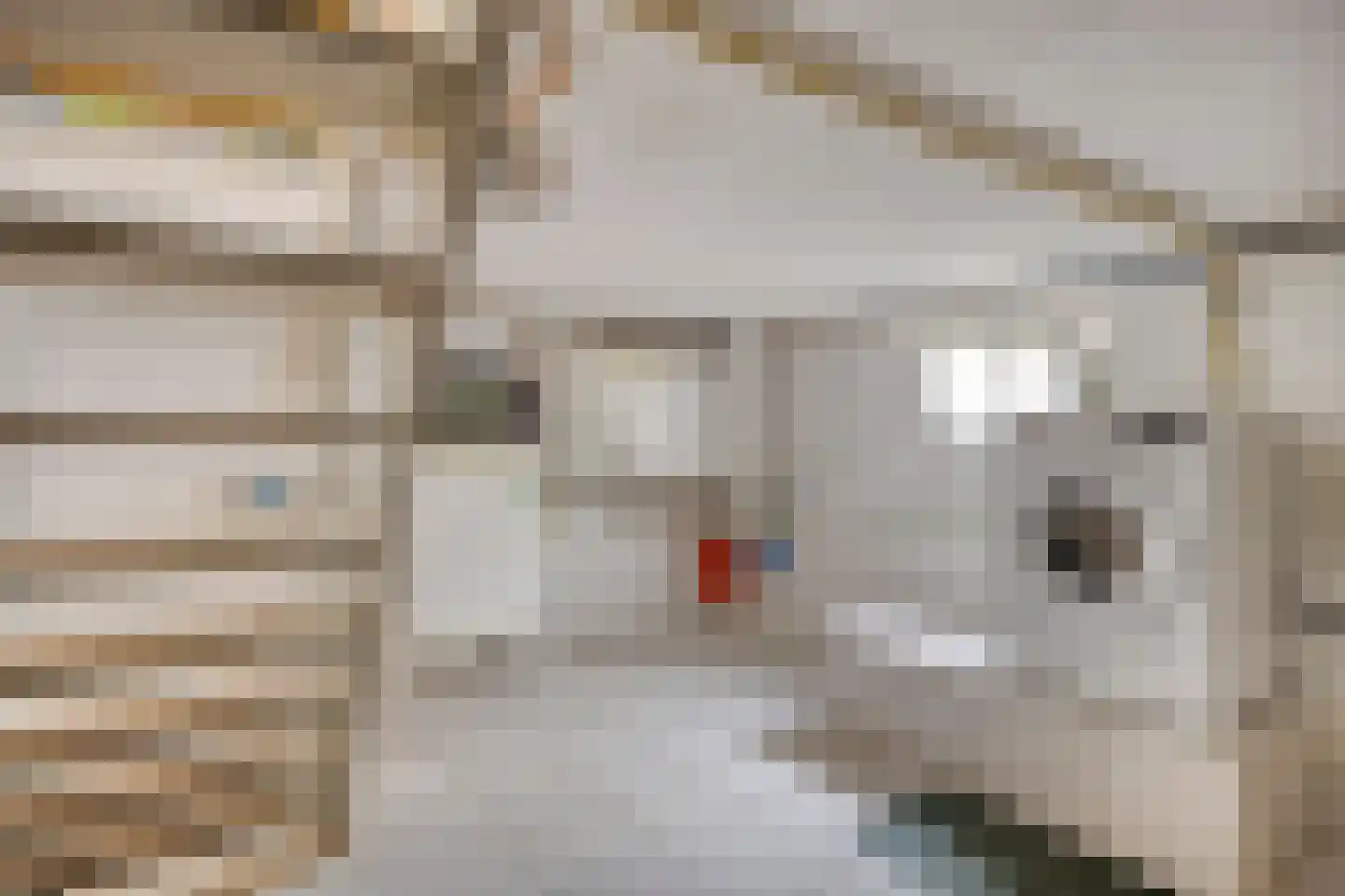Oliemolenstraat 1 Uden thumbnail 20