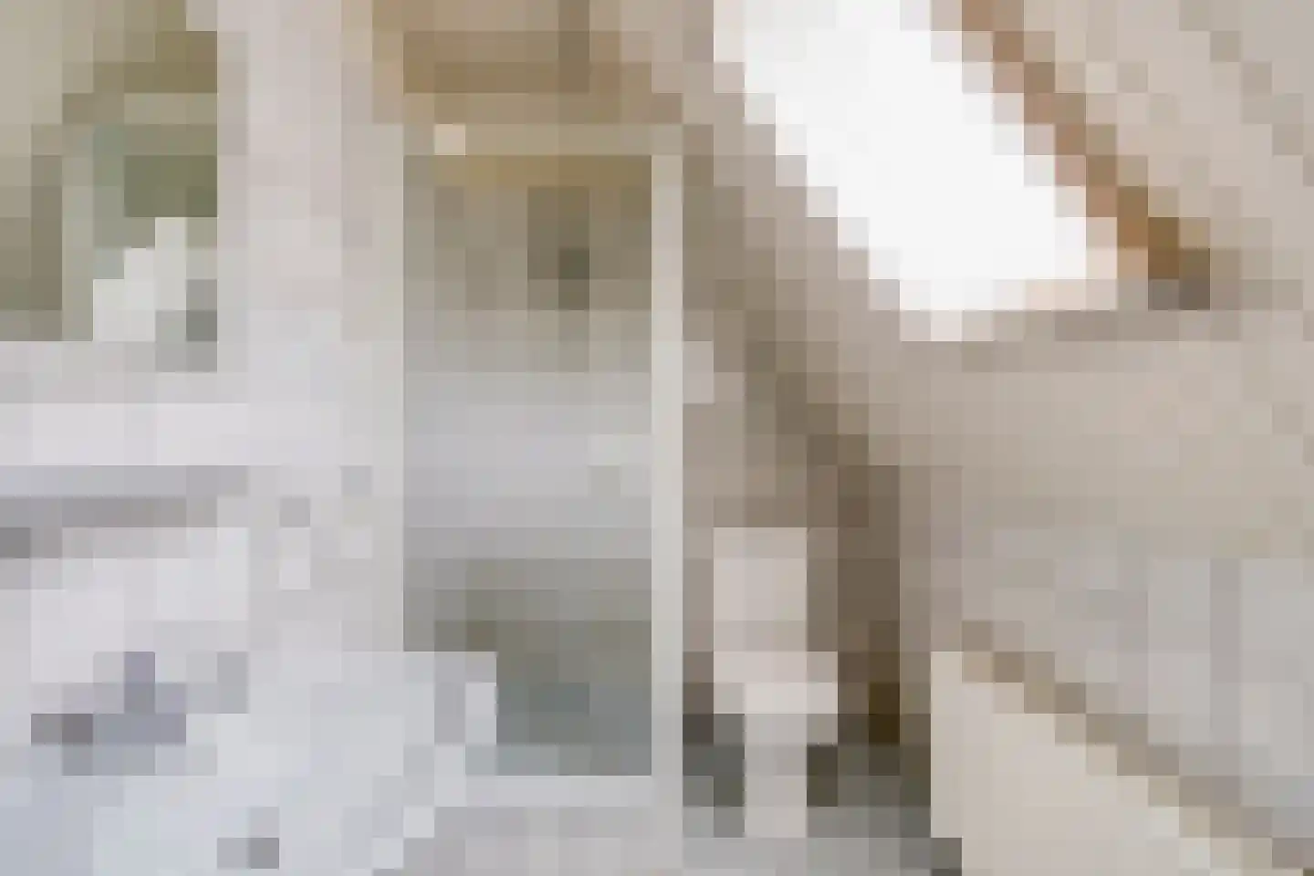 Oliemolenstraat 1 Uden thumbnail 24