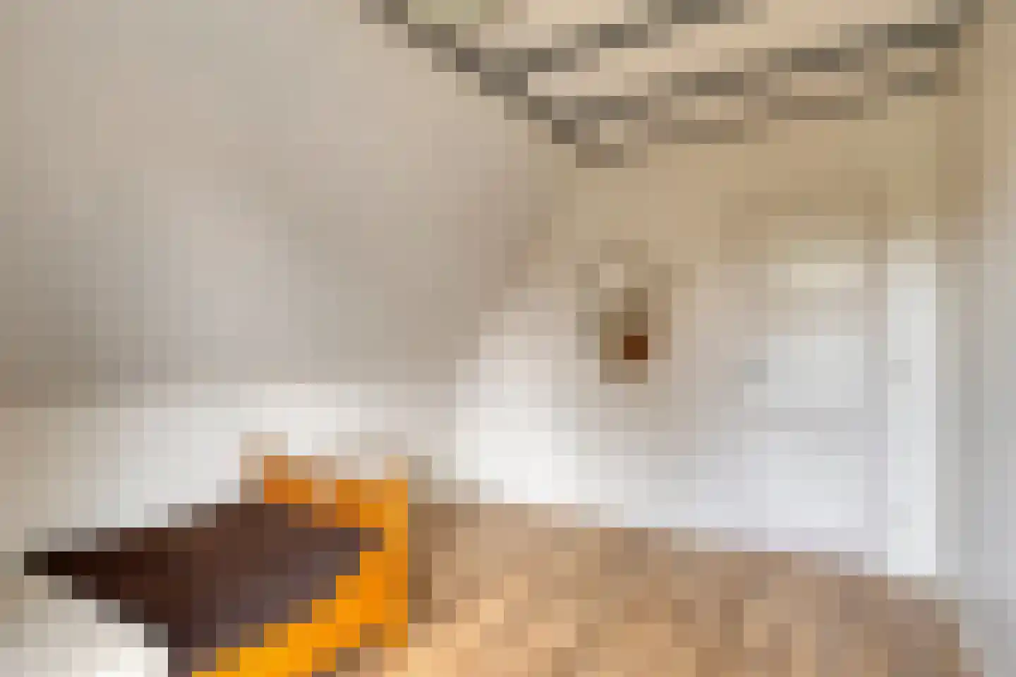Oliemolenstraat 1 Uden thumbnail 27