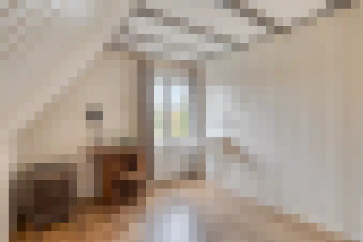 Oliemolenstraat 1 Uden thumbnail 28